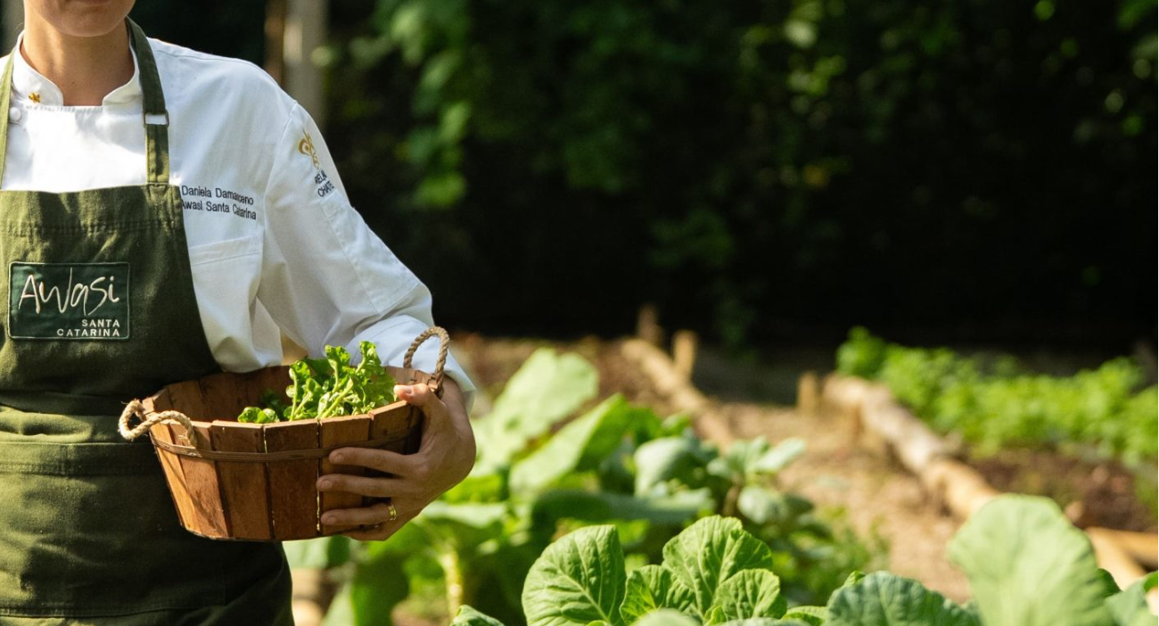 Chef preparing a refined culinary experience